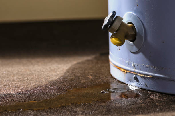 Best Flooded house restoration  in Coushatta, LA