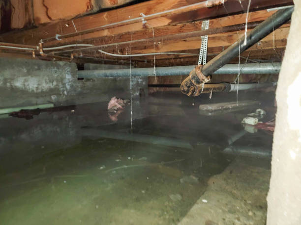 Best Flood damage cleanup  in Coushatta, LA