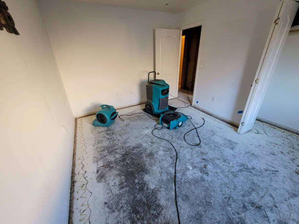 Local water damage restoration in LA