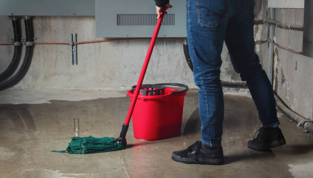 Best Commercial water damage restoration  in Coushatta, LA