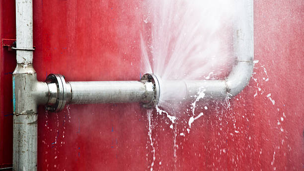 Best Local water damage restoration  in Coushatta, LA